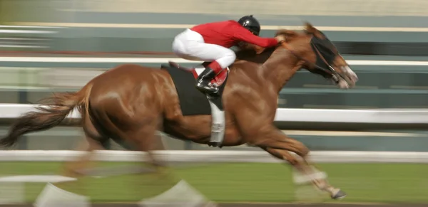 Rörelseoskärpa hästkapplöpning — Stockfoto