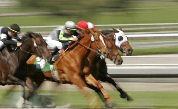 Desenfoque abstracto carrera de caballos — Foto de Stock