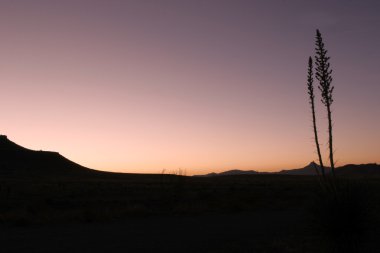 çöl sunrise