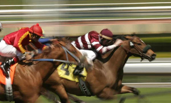Abstracte bewegingsonscherpte paardenrace — Stockfoto