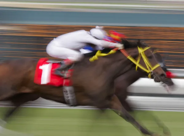 Neck and Neck Horse Race Stock Picture