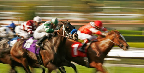 抽象的なぼかしの馬のレース ストック写真