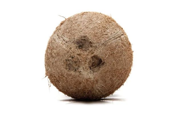 코코넛 로열티 프리 스톡 사진