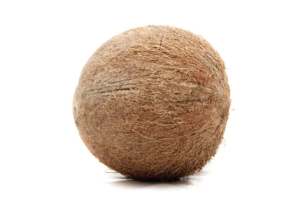 코코넛 스톡 이미지