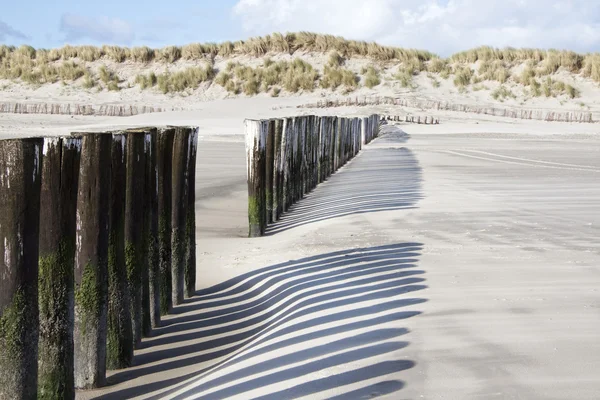 Beach — Stock Photo, Image