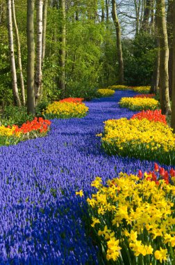 Lane of flowers clipart