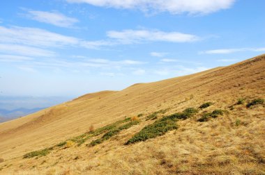 Mountain landscape in autumn clipart