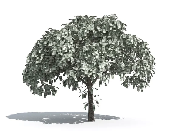 Peníze strom nás dolary — Stock fotografie