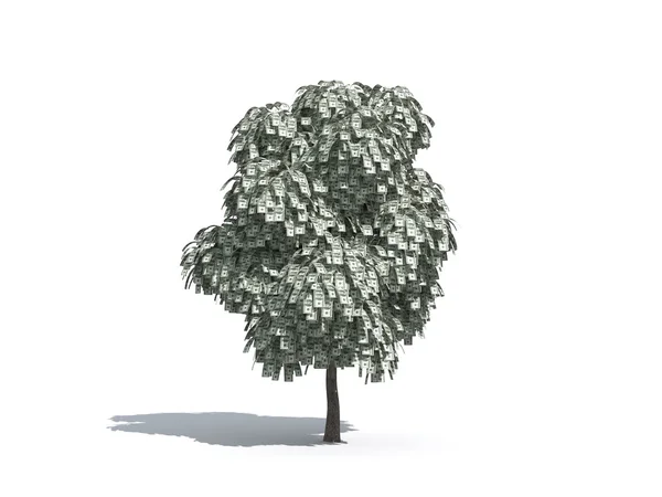 Drzewo pieniądze nas dolarów — Zdjęcie stockowe