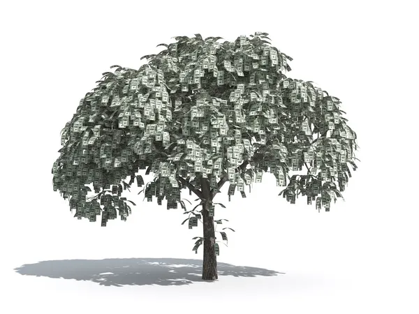 Árvore de dinheiro de dólares americanos Imagem De Stock