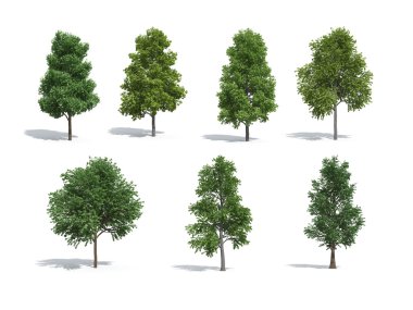 Group of trees clipart