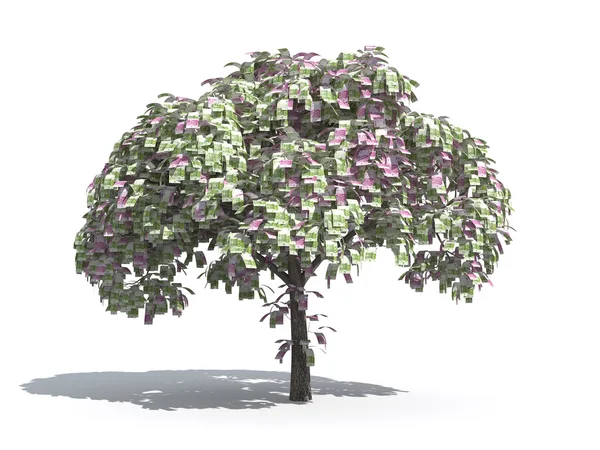 Денежное дерево евро — стоковое фото
