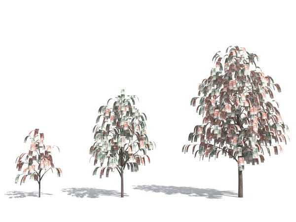 Денежное дерево рубля — стоковое фото