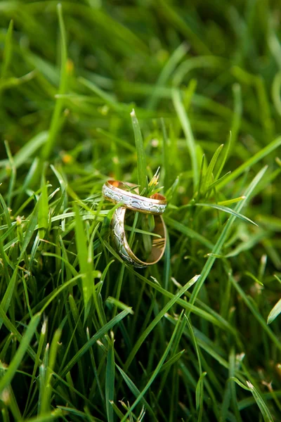 結婚指輪、草の上 — ストック写真
