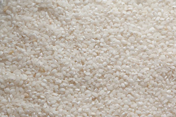 Contexto del arroz — Foto de Stock