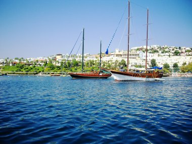 Yachts at coast of Aegean clipart