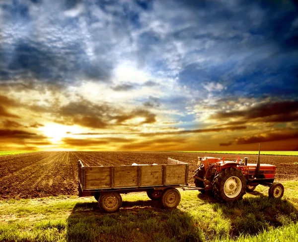 Traktor — Stock fotografie