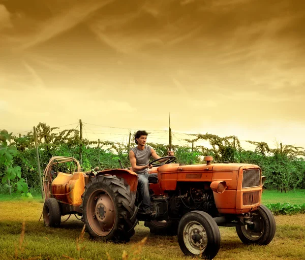 若い農夫 — ストック写真
