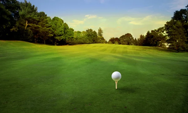 Golf — Stock fotografie