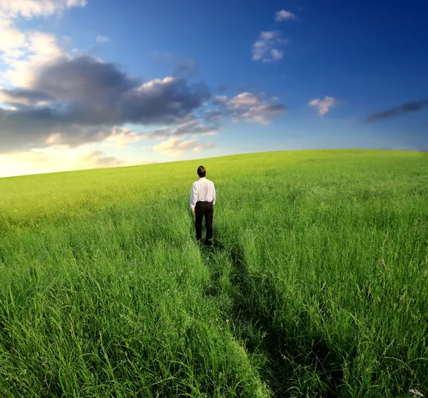 Businessman walking in the fields — Stock Photo, Image