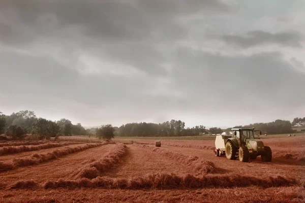 农业 — 图库照片