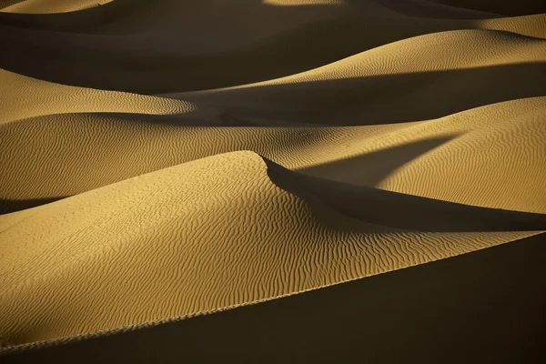 沙漠沙丘在傍晚的光线 — 图库照片