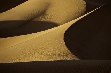 Desert sand dunes with shadows