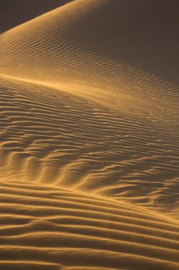 Desert sand dunes with shadow clipart