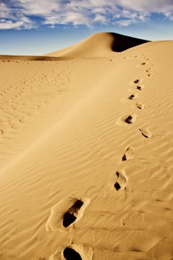 çöl kumul üzerinde ayak izleri