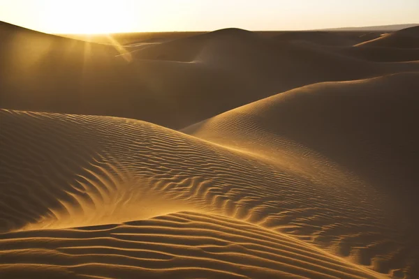 Suset in the desert — Stock Photo, Image