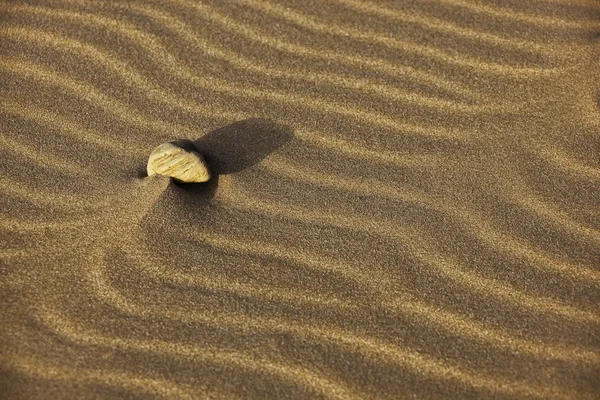 Single stone in sand — Stock Photo, Image