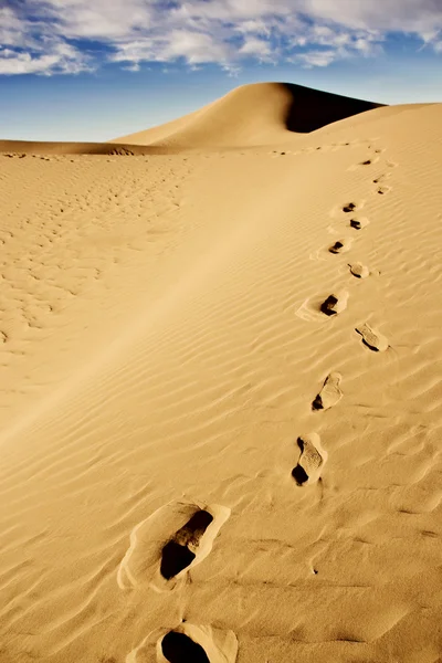 Empreintes de pas sur une dune de sable désertique — Photo