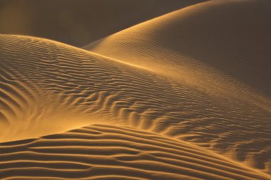 Sand dunes in evening sun clipart