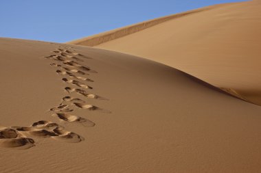 Footprints in desert sand clipart