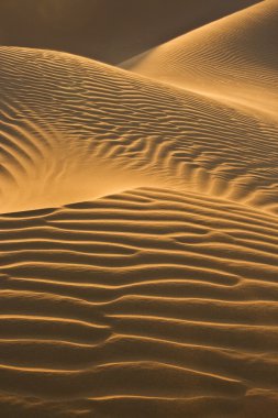 Desert dunes in evening sun clipart