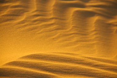 Sand pattern close-up clipart