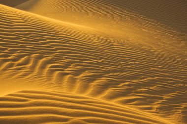 Sand dunes in evening sun clipart