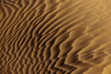 Close-up of desert sand pattern clipart