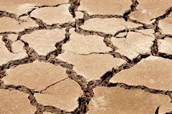 Hnědé suché popraskané země — Stock fotografie