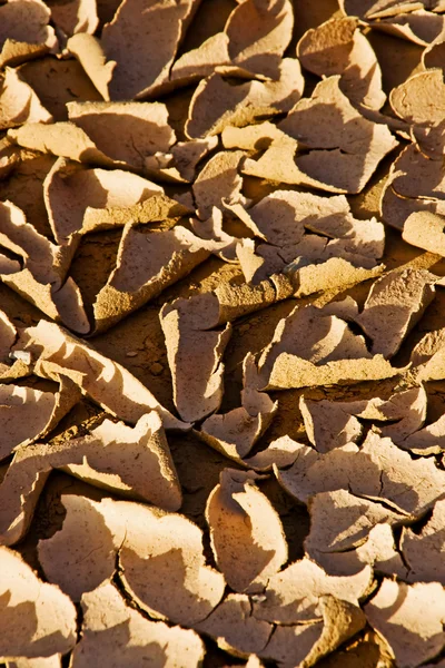 stock image Close-up of dry desert earth