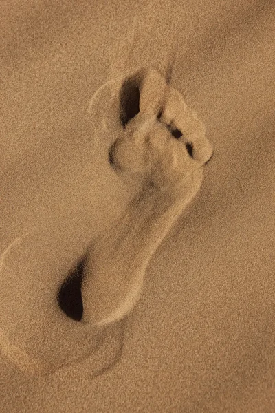 Single footprint in sand — Stock Photo, Image