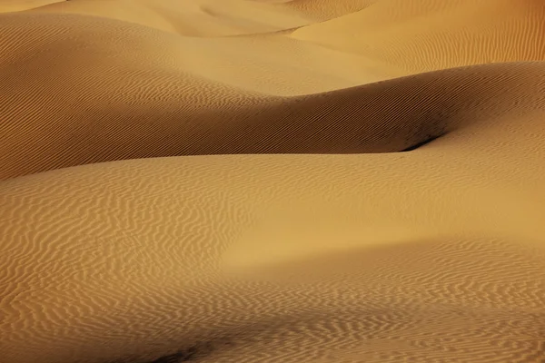 Dunas de arena del desierto —  Fotos de Stock