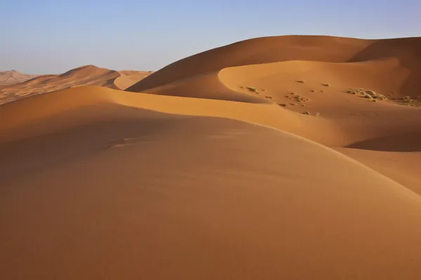 Dunas de areia no deserto do Saara — Fotografia de Stock