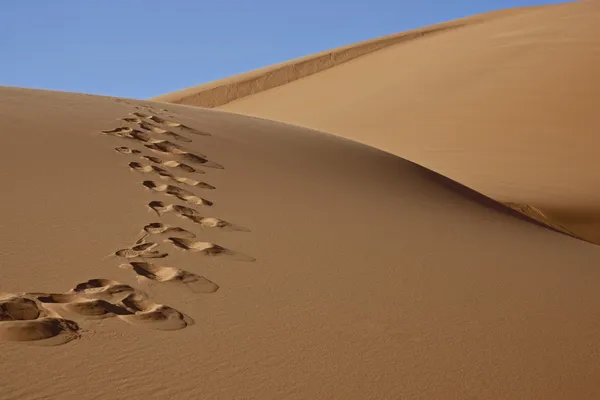 Pegadas na areia do deserto — Fotografia de Stock