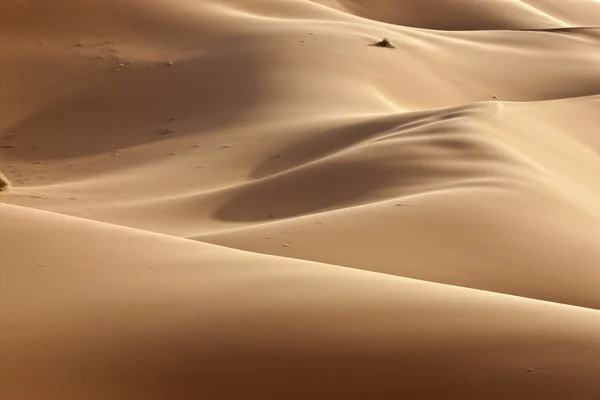 Опустевшие дюны — стоковое фото