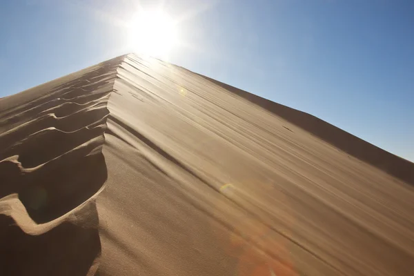 太陽に砂丘の足跡 — ストック写真