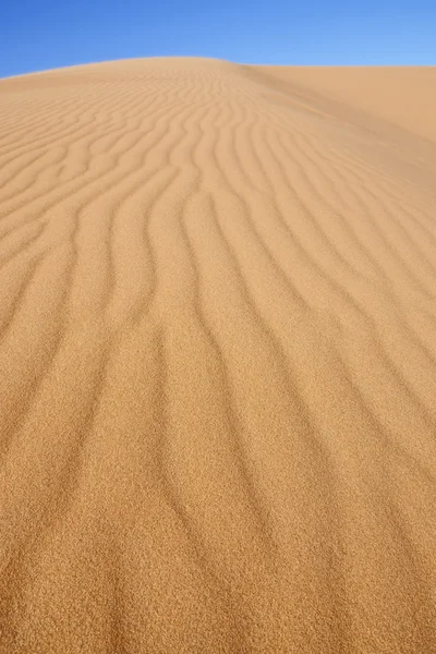 Dune di sabbia del deserto con cielo blu — Foto Stock