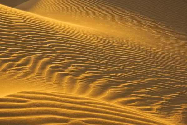 Sand dunes in evening sun — Stock Photo, Image