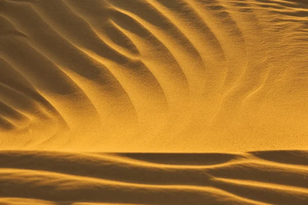 Пустынный песок на вечернем солнце — стоковое фото