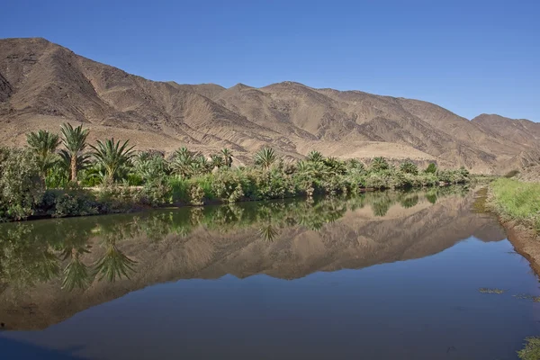 Palms and mountains reflecting in a rive — Stock Photo, Image